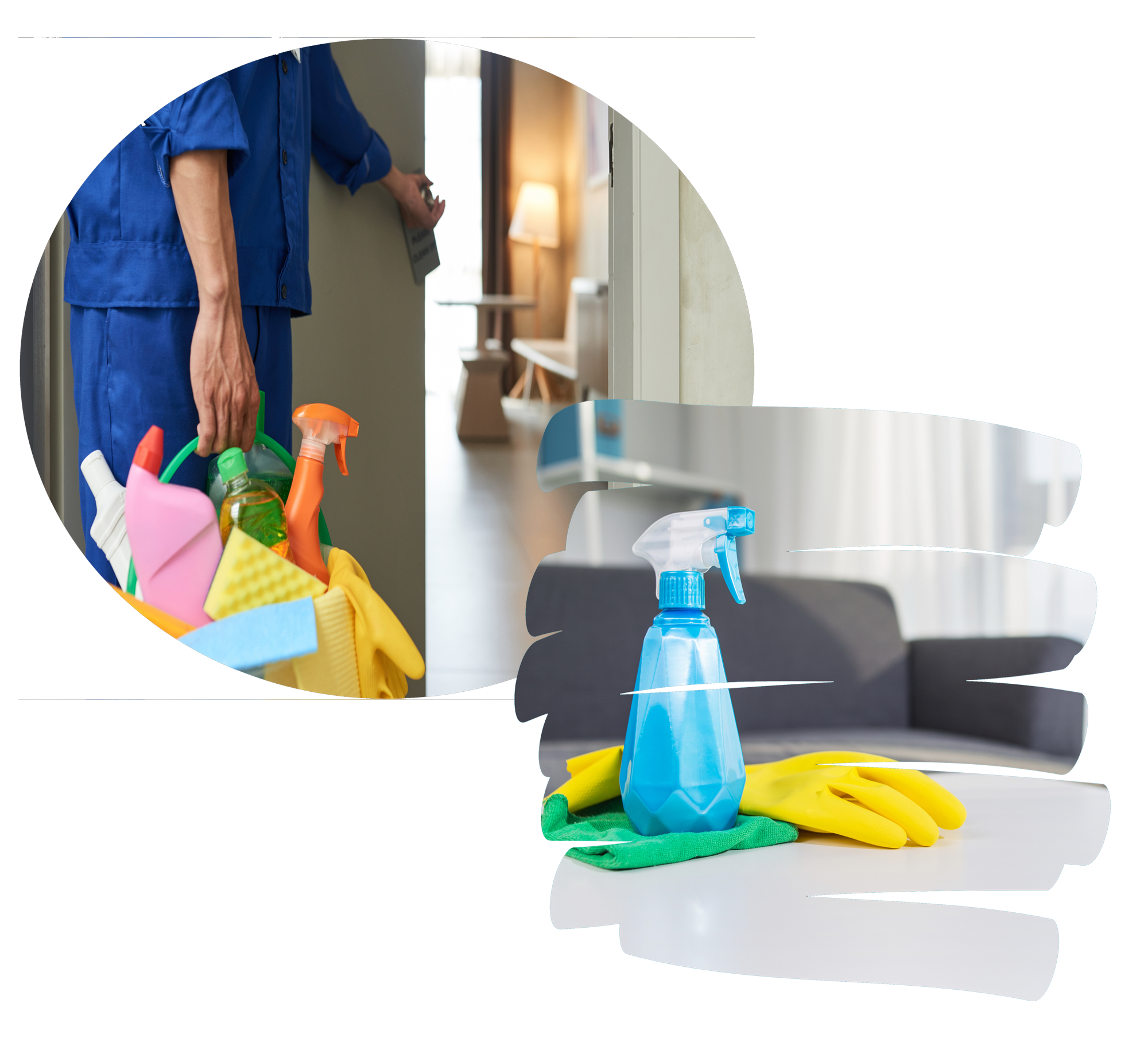 Professional Cleaning Services in El Paso